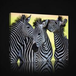 Consalnet Vászonkép, Zebrák, 60x40 cm méretben (C5-2612O4)
