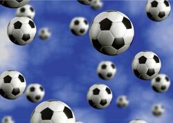 Consalnet Focilabdák poszter, fotótapéta, Vlies (416 x 254 cm) (C1-187VEXXXL)