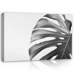 Consalnet Levél fekete-fehérben, vászonkép, 60x40 cm méretben (C5-12730O4)