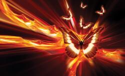 Consalnet Absztrakt minta poszter, fotótapéta, Vlies (368 x 254 cm) (C1-3553V8)