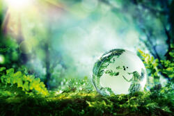 Dimex Vlies Fotótapéta - Globe on moss in a forest - 375x250 cm (MS-5-1261)