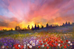 Dimex Vlies Fotótapéta - Flower meadow - 375x250 cm (MS-5-1965)