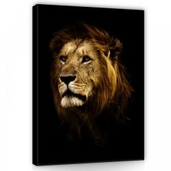 Consalnet Vászonkép, Oroszlán, 75x100 cm méretben (C5-11766O1)