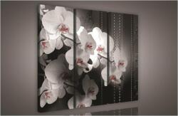 Consalnet Orchidea minta, 3 darabos vászonkép, 90x80 cm méretben (C5-849S6)