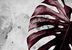 Consalnet Levél poszter, fotótapéta Vlies (312 x 219 cm) (C1-13517VEXXL)