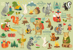 Dimex CAMPING ANIMALS fotótapéta, poszter, vlies alapanyag, 375x250 cm (MS-5-1473)