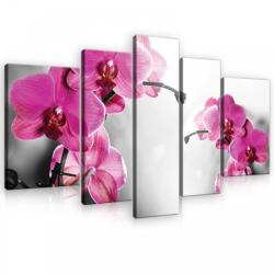 Consalnet Vászonkép, 5 darabos, Orchideák 170x100 cm méretben (C5-10155S4A)