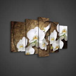 Consalnet Vászonkép 5 darabos, Orchidea 100x60 cm méretben (C5-417S17)