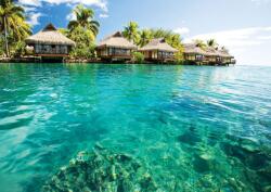 Consalnet Hawaii poszter, fotótapéta, Vlies (368 x 254 cm) (C1-224V8)