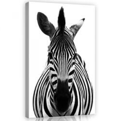 Consalnet Zebra, vászonkép, 40x60 cm méretben (C5-11966O4)