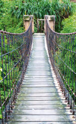 Dimex FOOTBRIDGE fotótapéta, poszter, vlies alapanyag, 150x250 cm (MS-2-0084)