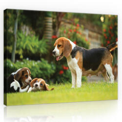 Consalnet Vászonkép, Beagle család, 100x75 cm méretben (C5-11375O1)