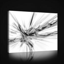 Consalnet Fekete-fehér absztrakt vászonkép, 60x40 cm méretben (C5-2561O4)