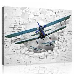 Consalnet Vászonkép, Repülő, 100x75 cm méretben (C5-10407O1)