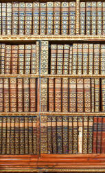 Dimex LIBRARY fotótapéta, poszter, vlies alapanyag, 150x250 cm (MS-2-0263)