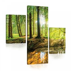 Consalnet Vászonkép 3 darabos, Erdő 130x80 cm méretben (C5-10513S16)