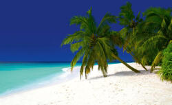 Dimex Vlies Fotótapéta - Baa atoll - 375x250 cm (MS-5-3140)