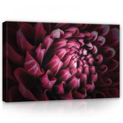 Consalnet Dália, vászonkép, 60x40 cm méretben (C5-12710O4)