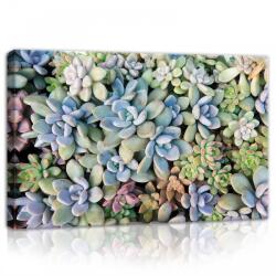 Consalnet Kőrózsák, vászonkép, 60x40 cm méretben (C5-11757O4)