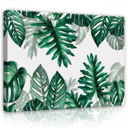 Consalnet Vászonkép, Levelek, 100x75 cm méretben (C5-13782O1)
