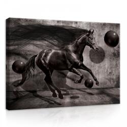 Consalnet Lovak, vászonkép, 70x50 cm méretben (C5-20303O7)