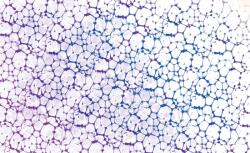 Consalnet Absztrakt poszter, fotótapéta, Vlies (368 x 254 cm) (C1-696V8)