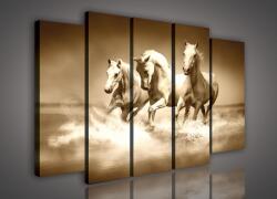 Consalnet Vászonkép, 5 darabos Lovak 150x100 cm méretben (C5-191S12)