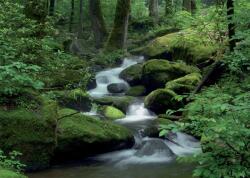 Consalnet Mountain stream poszter, fotótapéta (152, 5 x 104 cm) (C1-163VEL)