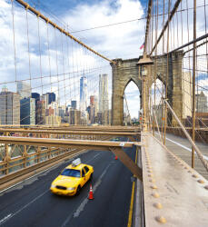 Dimex NEW YORK CITY fotótapéta, poszter, vlies alapanyag, 225x250 cm (MS-3-0004)