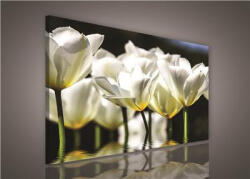 Consalnet Vászonkép, Tulipánok, 80x60 cm méretben (C5-585O6)