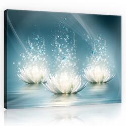 Consalnet Tavi rózsák, vászonkép, 60x40 cm méretben (C5-10224O4)