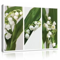 Consalnet Vászonkép, Gyöngyvirág 80x60 cm méretben (C5-11908O6)