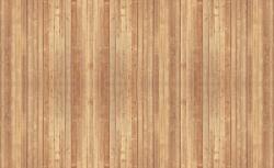 Consalnet Deszkafal poszter, fotótapéta Vlies (254 x 184 cm) (C1-1092V4)