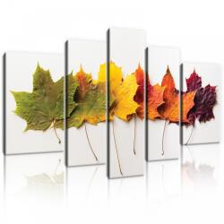 Consalnet Vászonkép, 5 darabos, Őszi levelek 170x100 cm méretben (C5-11719S4A)