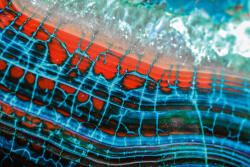 Dimex Vlies Fotótapéta - Blue Red Dragon Vein - 375x250 cm (MS-5-2448)