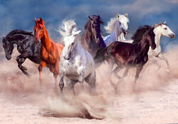 Sverus Fotótapéta Horse Herd Run in Desert Dust Storm, 400 x 260 cm (SV-83954279WM-400X260CM)