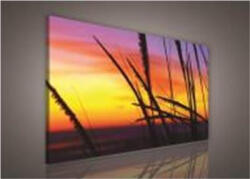 Consalnet Vászonkép, Naplementében, 60x40 cm méretben (C5-216O4)