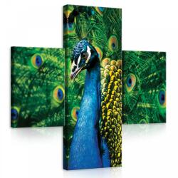 Consalnet Vászonkép 3 darabos, Páva 130x80 cm méretben (C5-20934S16)