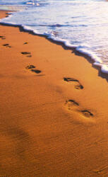 Dimex FOOTSTEPS fotótapéta, poszter, vlies alapanyag, 150x250 cm (MS-2-0193)