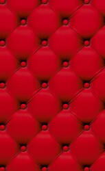 Dimex CHESTERFIELD fotótapéta, poszter, vlies alapanyag, 150x250 cm (MS-2-0270)