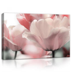 Consalnet Rózsaszín tulipánok, vászonkép, 60x40 cm méretben (C5-11911O4)