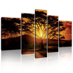 Consalnet Vászonkép, 5 darabos, Szavannai naplemente 170x100 cm méretben (C5-20316S4A)