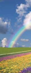 Consalnet Szivárvány vlies poszter, fotótapéta 018VET /91x211 cm/ (018-VET)