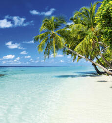 Dimex PARADISE BEACH fotótapéta, poszter, vlies alapanyag, 225x250 cm (MS-3-0215)