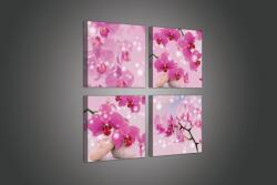 Consalnet Vászonkép 4 darabos, Cseresznyevirág 50x50 cm méretben (C5-2020S20)