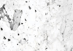 Consalnet Fekete-fehér márvány minta poszter, fotótapéta, Vlies (250 x 175 cm) (C1-15515VX5)