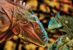 Consalnet Kaméleonok poszter, fotótapéta, Vlies (150 x 105 cm) (C1-10568VX3)