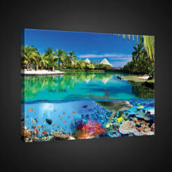 Consalnet Vászonkép, Delfinek, 60x40 cm méretben (C5-2355O4)