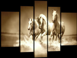 Consalnet Vászonkép, 5 darabos, Lovak 170x100 cm méretben (C5-20299S4A)