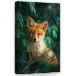 Consalnet Róka kölyök, vászonkép, 40x60 cm méretben (C5-12522O4)